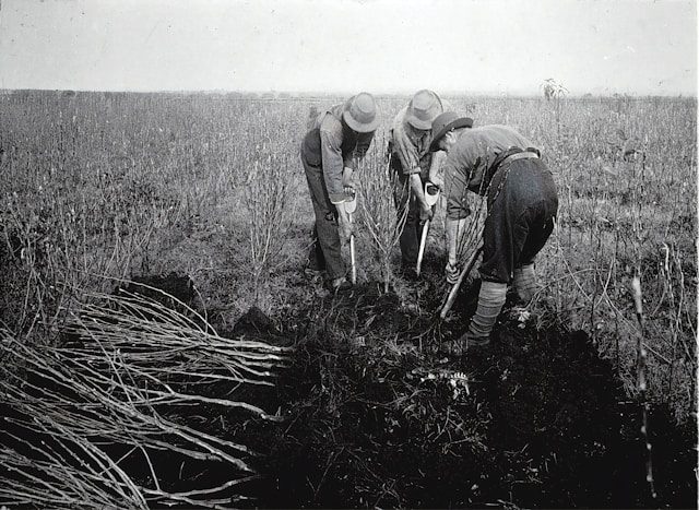 Farmers Almanac New York